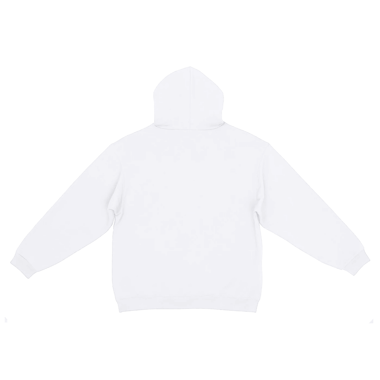 Sport Icon Hoodie